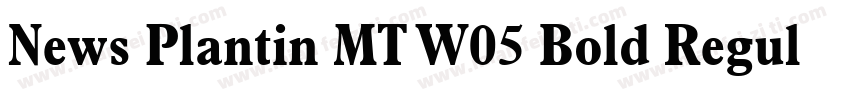 News Plantin MT W05 Bold Regula字体转换